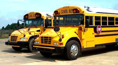Vision School Bus